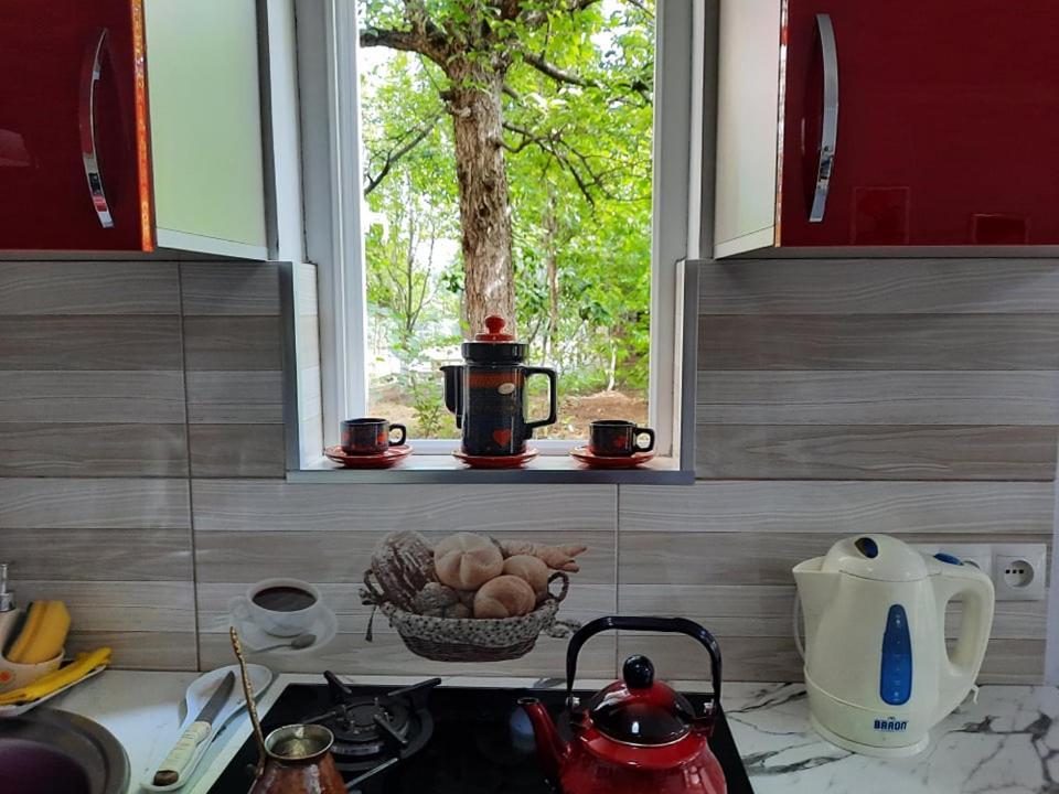 A Rioni Hotel Koetaisi Buitenkant foto